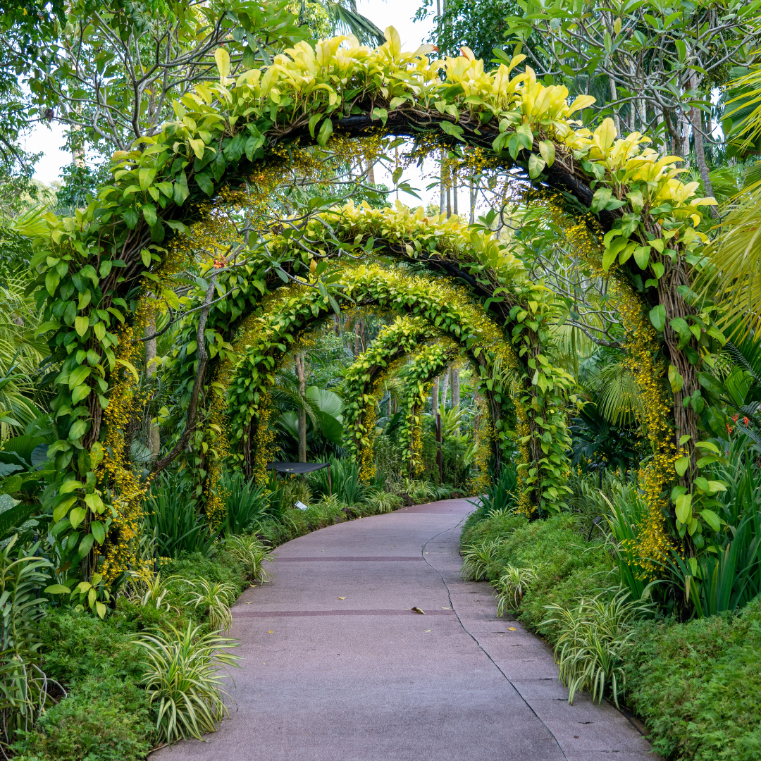 Jardim